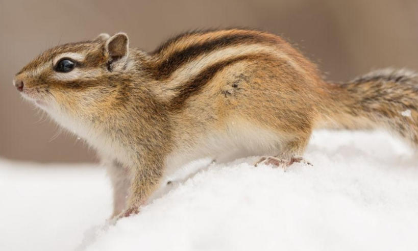 四叶城化妆品专卖店轮播图1