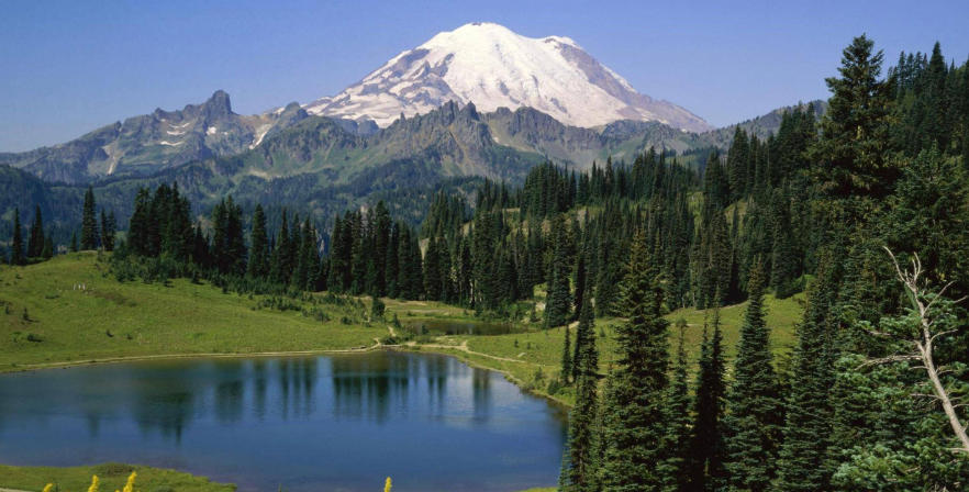 四叶城化妆品专卖店轮播图4