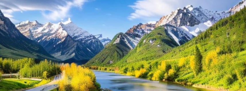 四叶城化妆品专卖店轮播图3